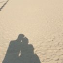 송정바다약국 이미지