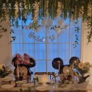 조조스튜디오 네이버블로그