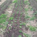 비전농장 이미지