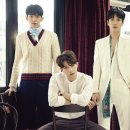 붐 마이데일리