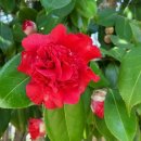 스포원파크 이미지