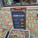 정도너츠앞 이미지