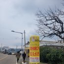 손이가꽈배기 - 강진군 병영성로 96 | 손이가꽈배기