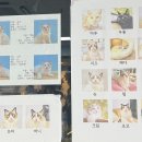 솔빈마루 이미지