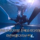 창원프리다이빙 진해프리다이빙 마린버블다이브, 신혼여행 전 스노클링 배운 후기