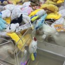 우아한 오락실 이미지