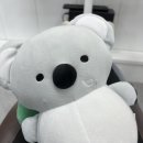 디오션치과의원 네이버블로그