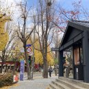 팔발라(FALBALAS) 이미지