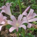 수덕사 성보박물관 이미지