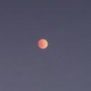 경북대학교 수사과학대학원 이미지