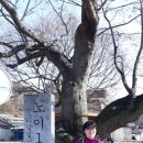 약산온천 이미지