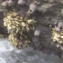 국수랑 김밥이랑 이미지