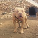 기권농장 이미지