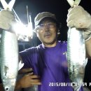 금갈치은고등어 이미지