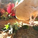 김태현농장 이미지