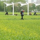 반포한강공원 이미지