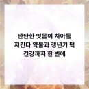 연세뉴욕치과의원 네이버블로그