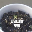 파래자반무침 맛있게 만드는 법 이미지