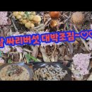 참싸리버섯 산행 대박조짐 이미지