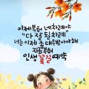 모본(주)