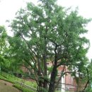 은행동입구 이미지