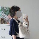 텐마일 이미지