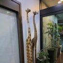 스파호텔 코자 이미지