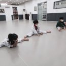 국가대표 메카태권도 이미지