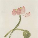 해원기획인쇄 - 아산시 실옥동 | [스크랩] 간송 전형필 탄생 100주년을 기뻐하며 3 - 별은 졌지만 별빛은 남아