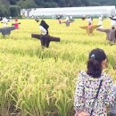 장전천3 이미지