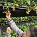 겨리농장 이미지