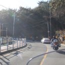 동해곰장어나라 이미지