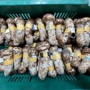 송이버섯은 추석선물로도 좋다 이미지