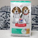 PUPPY HILL'S 이미지