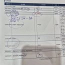 풍진상회 | 2025 산전검사(임신 준비 검사) 후기 / 제주 엘산부인과