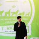 올바른 반려견 보호자 교육 이미지