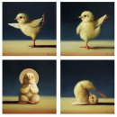 충남야생동물구조센터 이미지