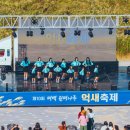 평택 원평나루 억새축제 이미지