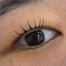 모아드 | [인천 부평 속눈썹펌, 왁싱 맛집] 모아드 뷰티 후기