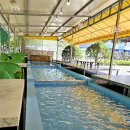 돌고개늘품 이미지