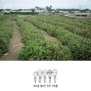 제주선인장마을