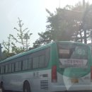 삼영운수 이미지