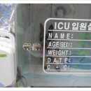 그랜드24시동물병원 이미지