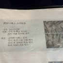 헤솔두피탈모 서면점 | |부산 웰킨두피탈모센터 서면점| 서면두피 관리 재방문 후기 (서면탈모·부산헤드스파 추천)