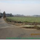 동일1리 이미지