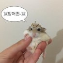 야무진손맛 이미지