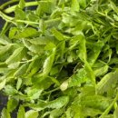 심심풀이 뽑아방 이미지