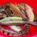 통영중앙전통시장 이미지