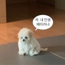아니 - 강남구 삼성로145길 11-6 | 아니