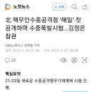 이것이 뉴스다..해일(쓰나미) 이미지